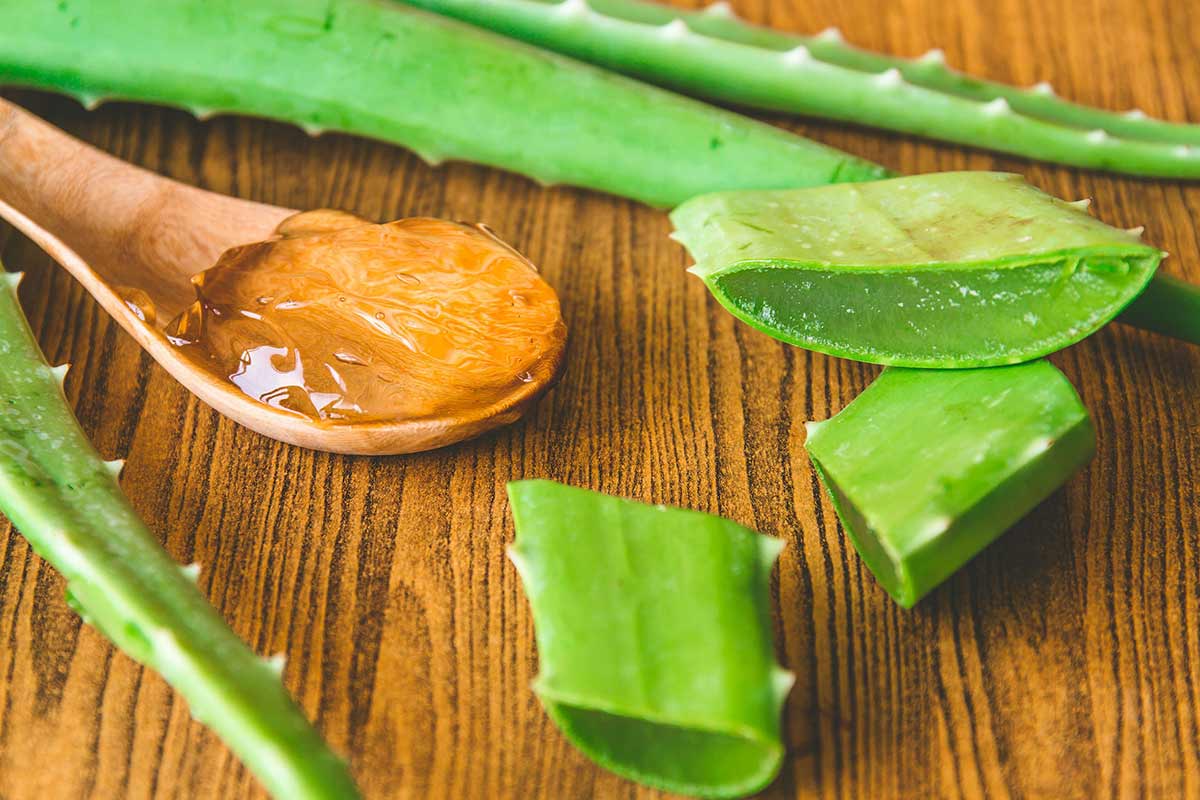 Benefit - Aloe Vera Leaf Polysaccharide Image